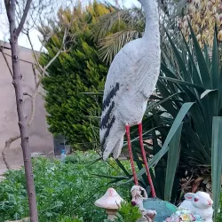 Mashtaga Old Village - Mashtaga