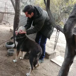 Mashtaga Park - Mashtaga