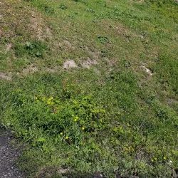 Gulustan Fortress - Nakhchivan (Naxcivan)