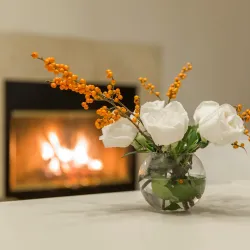 Qebele Botanical Garden - Qebele