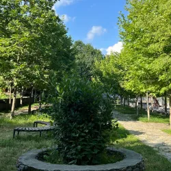 Qebele City Park - Qebele