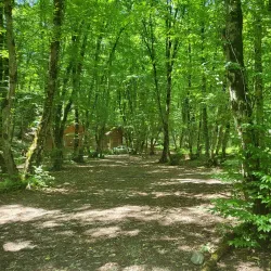 Qechresh Forest - Quba