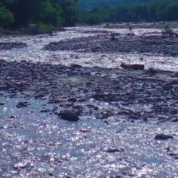 Qechresh Forest - Quba