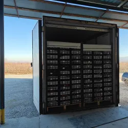 Quba Apple Orchards - Quba