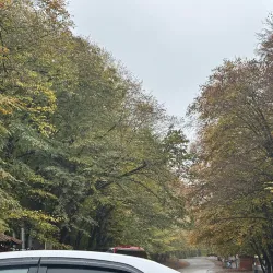 Qechresh Forest - Qusar