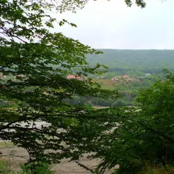 Qechresh Forest - Qusar