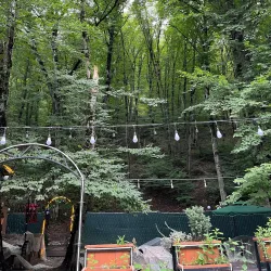 Qechresh Forest - Qusar