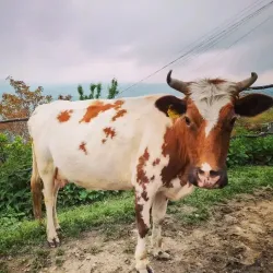 Qusar Cultural Center - Qusar