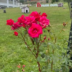 Qusar Ethnographic Complex - Qusar