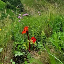 Tengyaalti Waterfall - Qusar