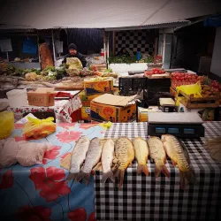 Shaki Bazaar - Shaki