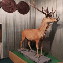 Shaki Museum of History and Local Lore - Shaki