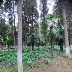 Khan Baghi Park - Shamkir