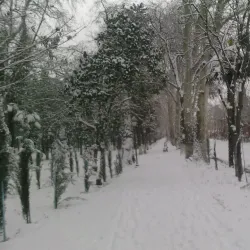 Khan Baghi Park - Shamkir