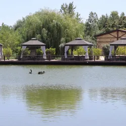 Shamkir Wine Factory - Shamkir