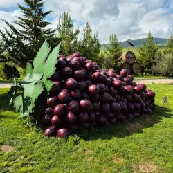 Shamkir Wine Factory - Shamkir