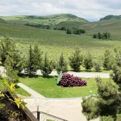 Shamkir Wine Factory - Shamkir