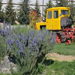 Shamkir Wine Factory - Shamkir