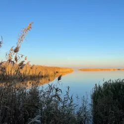 Shirvan Botanical Garden - Shirvan (Ali Bayramli)