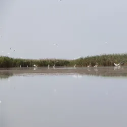 Shirvan Botanical Garden - Shirvan (Ali Bayramli)