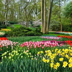 Shirvan Cultural Center - Shirvan (Ali Bayramli)