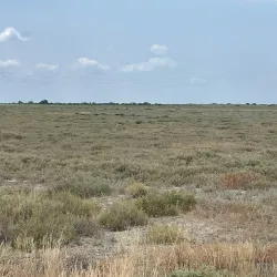 Shirvan State Historical and Ethnographic Museum - Shirvan (Ali Bayramli)