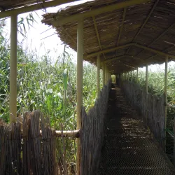 Shirvan State Historical and Ethnographic Museum - Shirvan (Ali Bayramli)