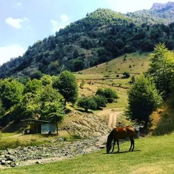 Tovuz Wine Region - Tovuz