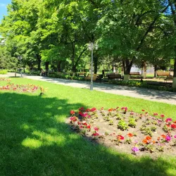 Zaqatala Central Park - Zaqatala