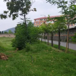 Zaqatala Fortress - Zaqatala