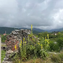 Zaqatala Fortress - Zaqatala