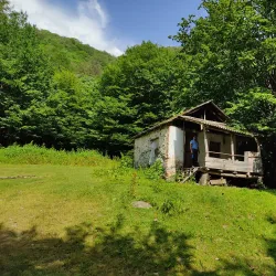 Zaqatala Nature Reserve - Zaqatala