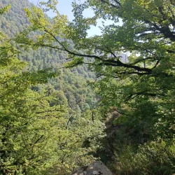 Zaqatala Nature Reserve - Zaqatala