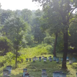 Zaqatala Nature Reserve - Zaqatala