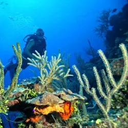 Andros Barrier Reef - Andros Town