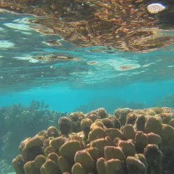 Andros Barrier Reef - Andros Town