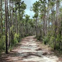 Andros Blue Hole National Park - Andros Town