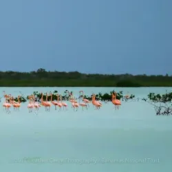 Andros Island National Park - Andros Town