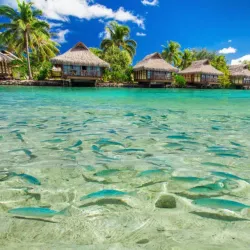 Andros Island National Park - Andros Town