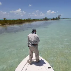 Andros Island National Park - Andros Town