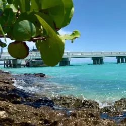 Andros Town Waterfront - Andros Town