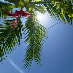 Andros Town Waterfront - Andros Town