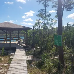 Blue Holes of Andros - Andros Town