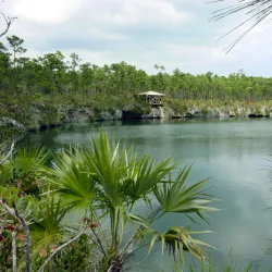 Blue Holes of Andros - Andros Town