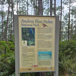 Blue Holes of Andros - Andros Town