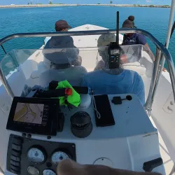 Eco-Tours and Bird Watching - Andros Town