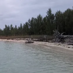 Eco-Tours and Bird Watching - Andros Town