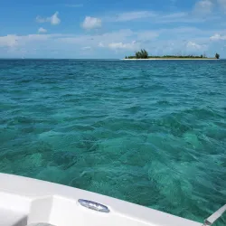 Eco-Tours and Bird Watching - Andros Town