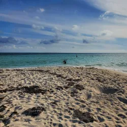 Eco-Tours and Bird Watching - Andros Town