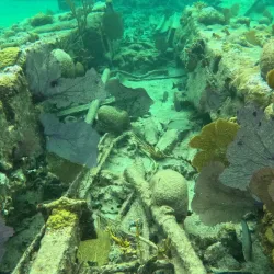 Fishing Excursions - Andros Town